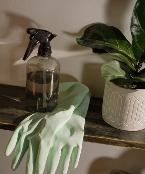 pexels-cottonbro-4107120